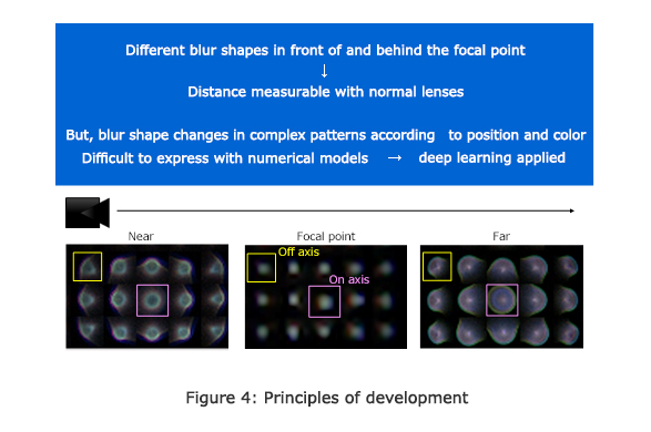 Figure 4: Principles of development