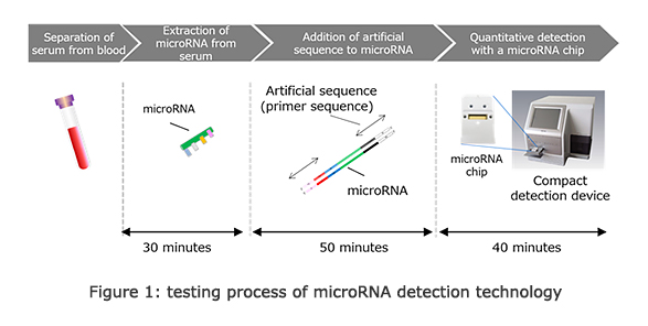 Figure 1: testing process of microRNA detection technology