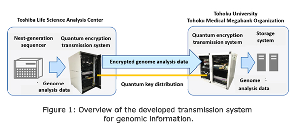 Figure 1: Overview of the developed transmission system for genomic information.