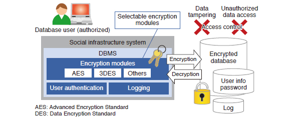 Structure of secure embedded database components