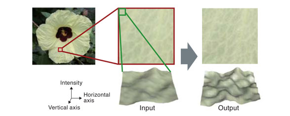 Processing result applying texture restoration technology