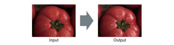 Processing result applying gloss restoration technology