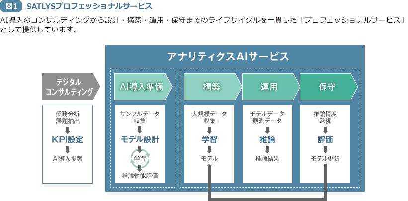 図1 SATLYSプロフェッショナルサービス