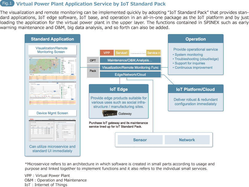 Fig.1: Virtual Power Plant Application Service by IoT Standard Pack