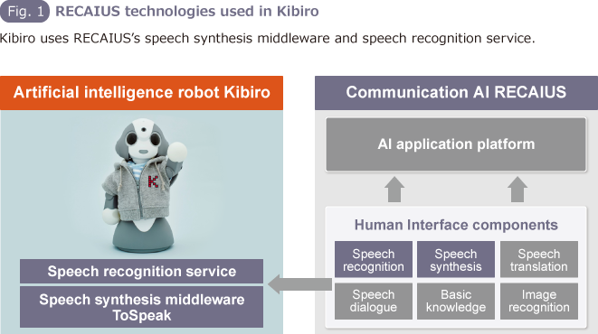 Fig. 1 RECAIUS technologies used in Kibiro