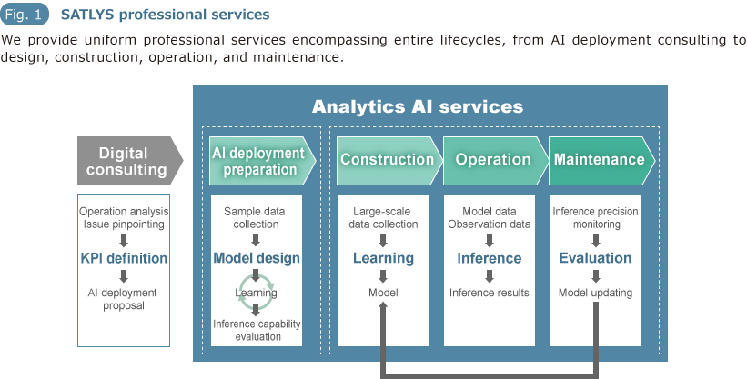 Fig.1 SATLYS professional services