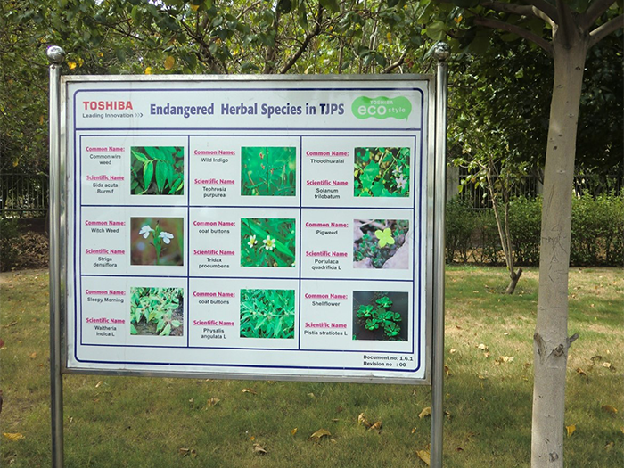 Bulletin board that shows endangered herbal species