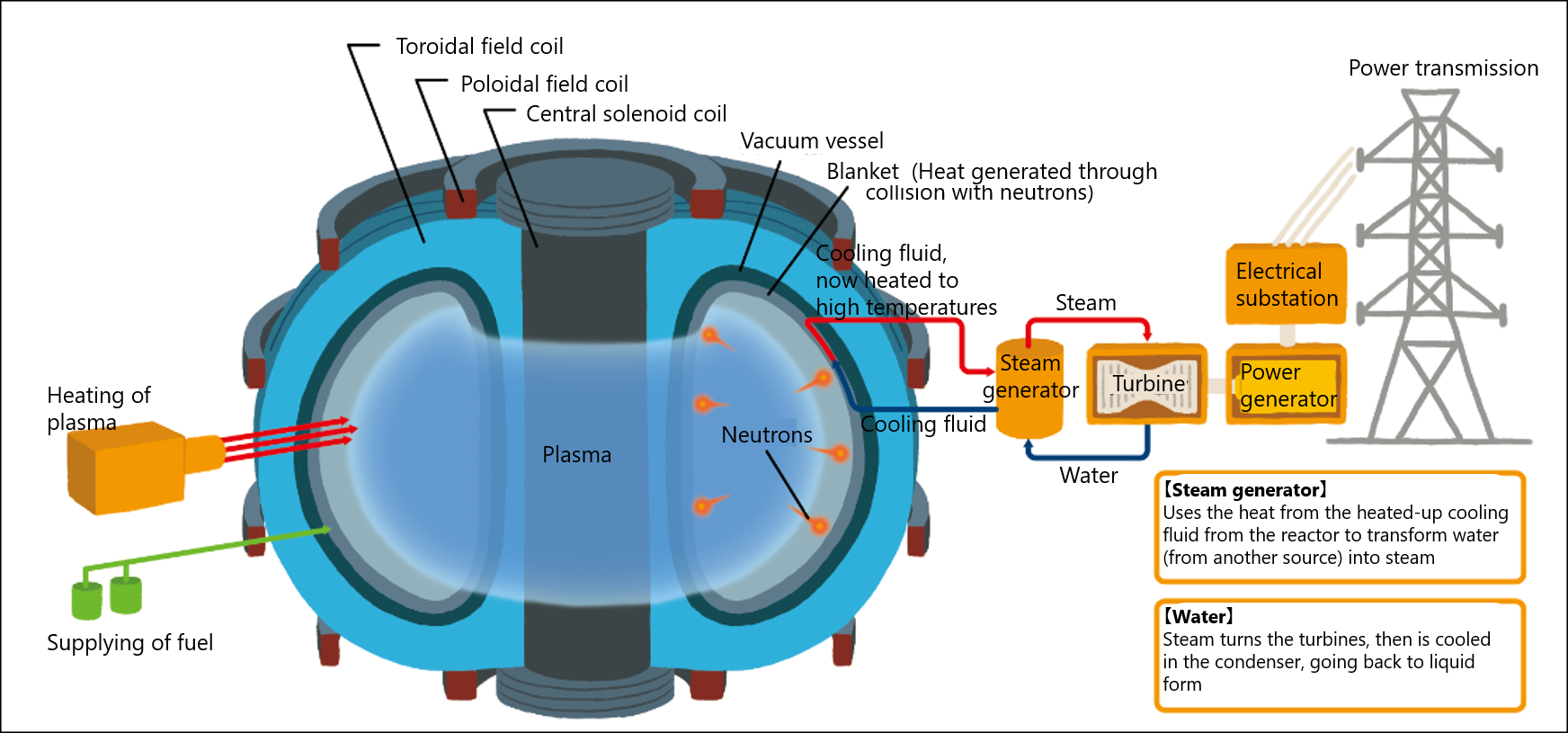 The nuclear fusion process