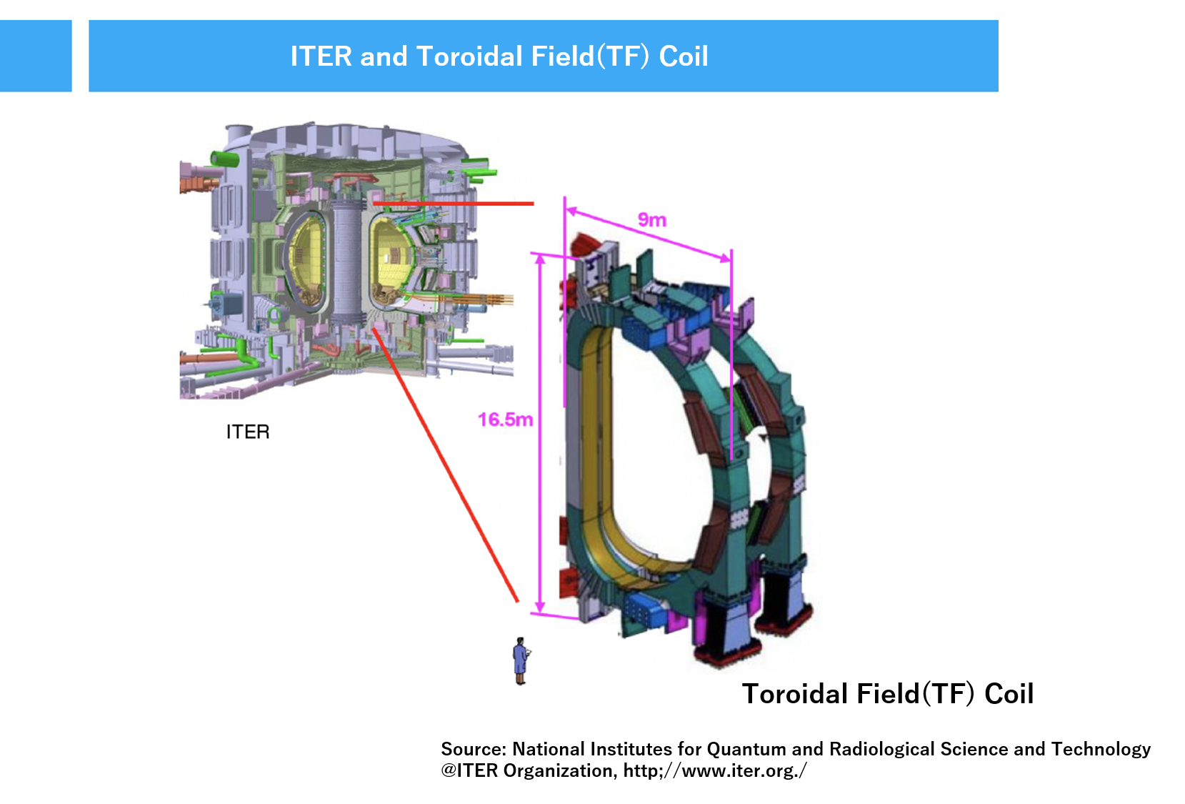 ITER and Toroidal Field(TF) Coil