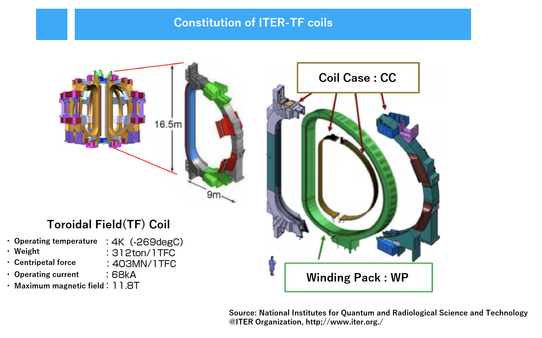 TF coil structure and manufacturing process