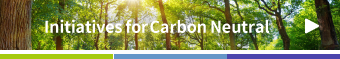 A role of energy storage in carbon neutrality