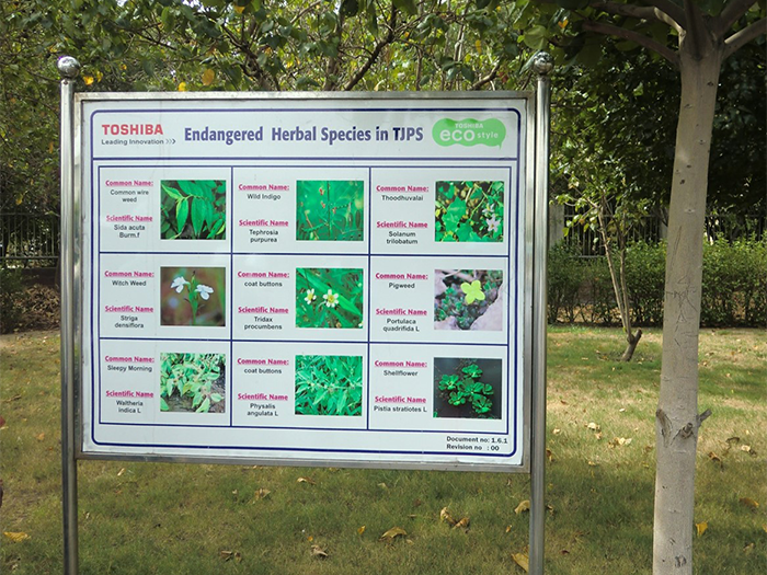 構内に生息する保護植物の掲示板