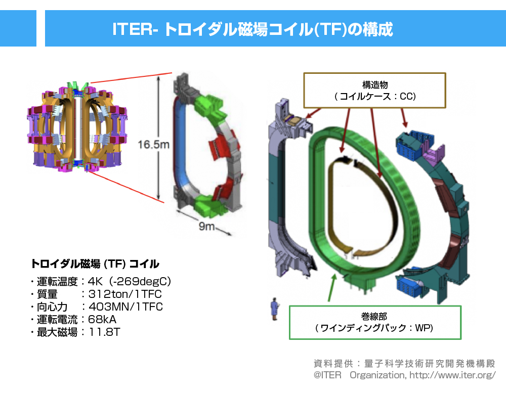 TFコイルの構成