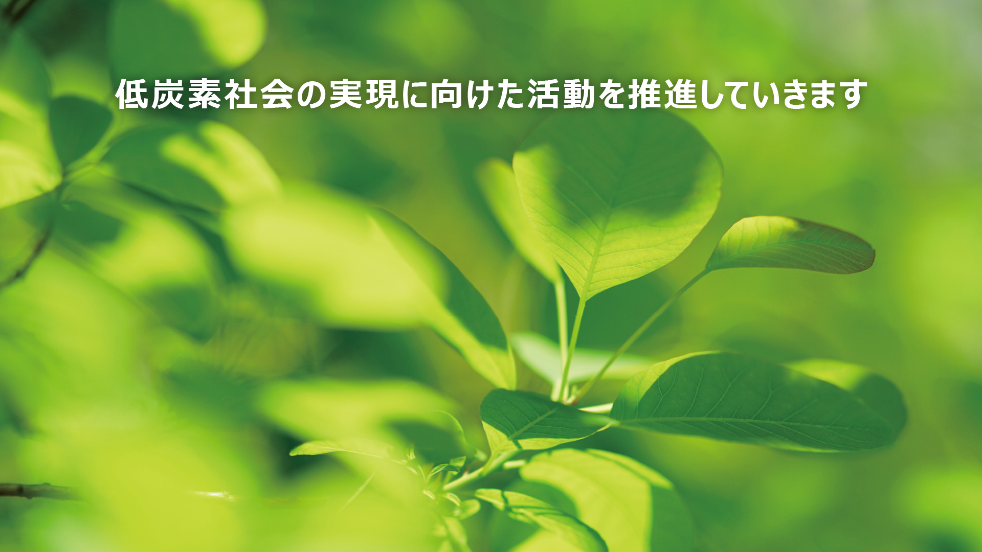 低炭素社会の実現に向けた活動を推進していきます