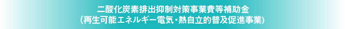 二酸化炭素排出抑制対策事業費等補助金（再生可能エネルギー電気 熱自立的普及促進事業)