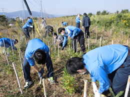 「緑の回廊・植栽地草取り大作戦」の写真