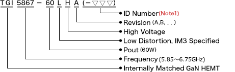 Internally Matched GaN HEMTs (Package Model)