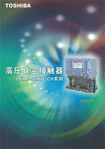 High-Voltage Vacuum Contactors Chinese ver