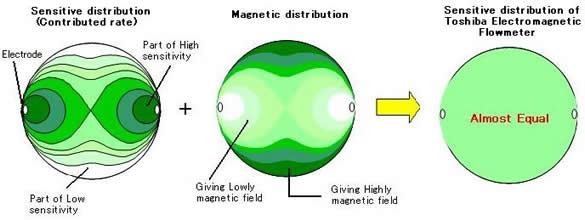 Functional magnetic field distribution image.