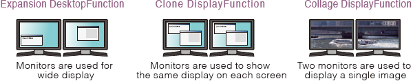 Dual monitor function