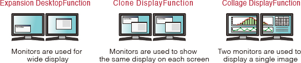 Dual monitor function