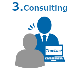 3. Consulting