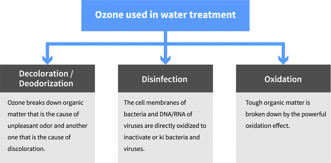 Effects of Ozone