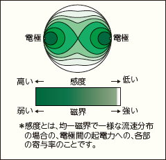 電磁流量計内の感度分布および関数磁界分布 イメージ