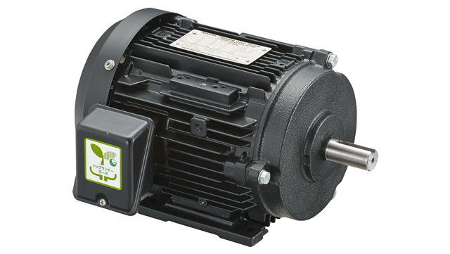 Low Voltage Motors (Group)