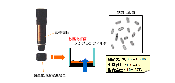 バイオセンサ構成図