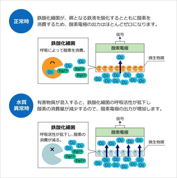 バイオセンサ測定原理図