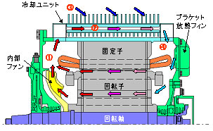 （a）外観