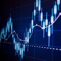 Investor Relations