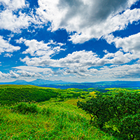 Environment