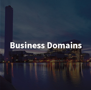 Business Domains
