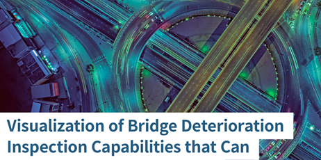 Visualization of Bridge Deterioration Inspection Capabilities that Can Estabrish aGlobal Standard
