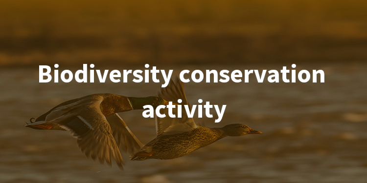 Biodiversity conservation activity