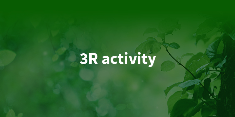3R activity
