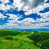 Environment