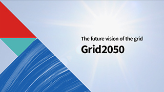 The future vision of the grid -Grid2050-