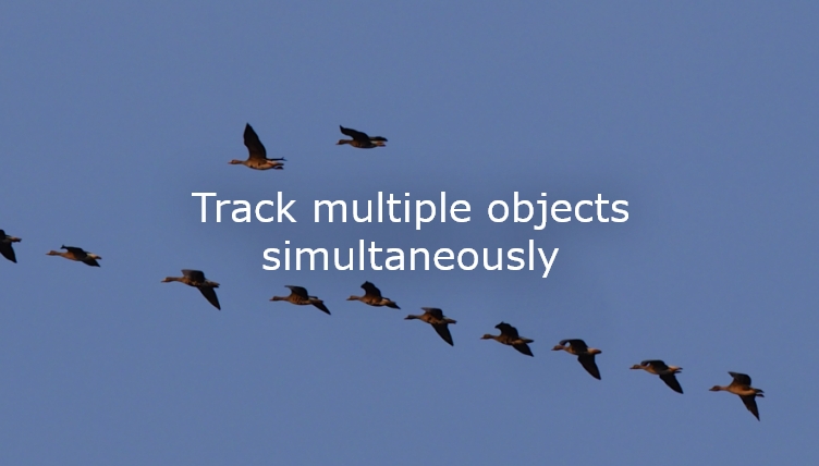 Track multiple objects simultaneously