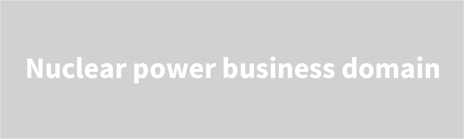 Nuclear power business domain