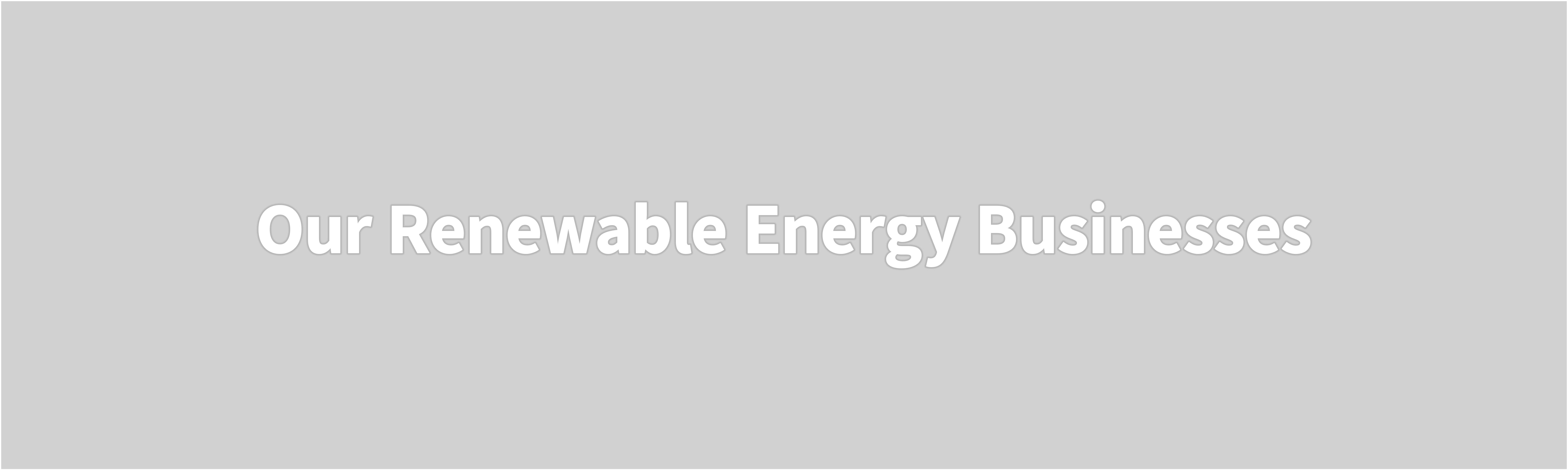 Our Renewable Energy Businesses