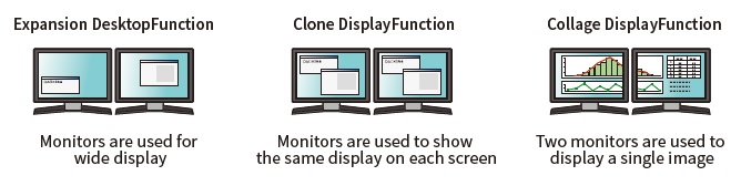 Dual monitor function