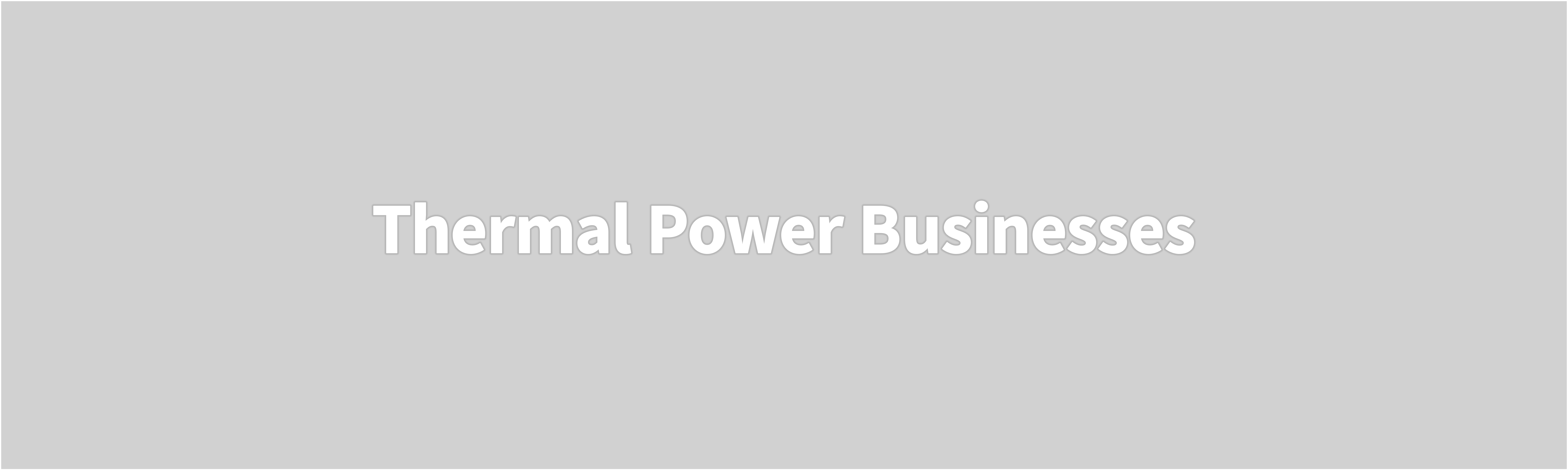 Thermal Power Businesses