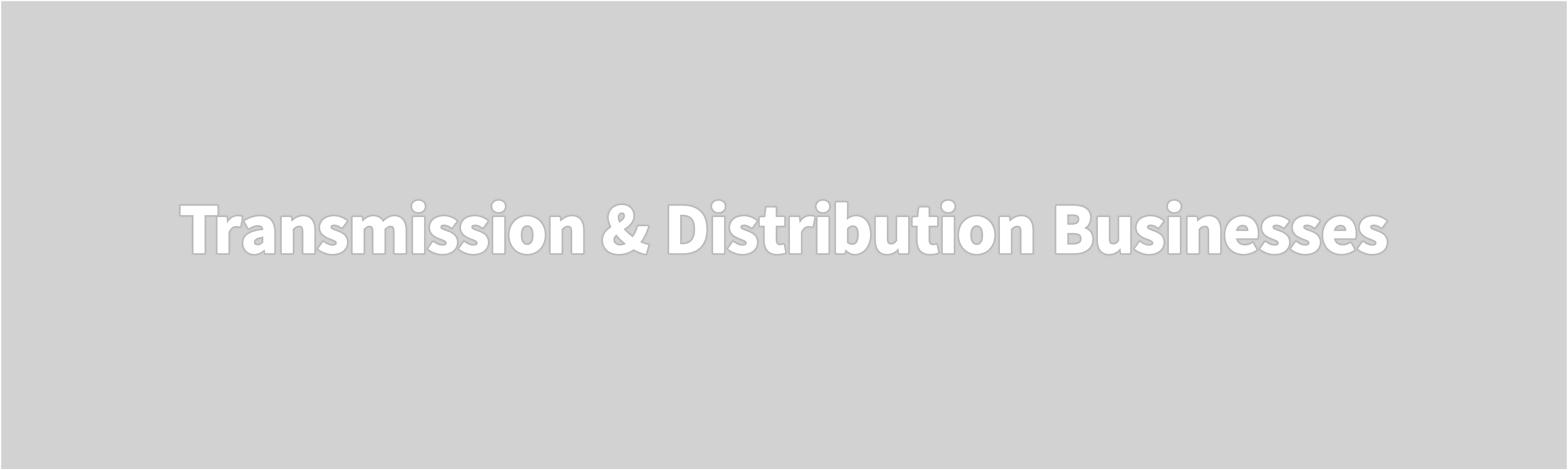 Transmission & Distribution Businesses