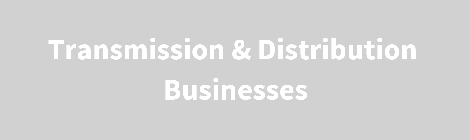 Transmission & Distribution Businesses