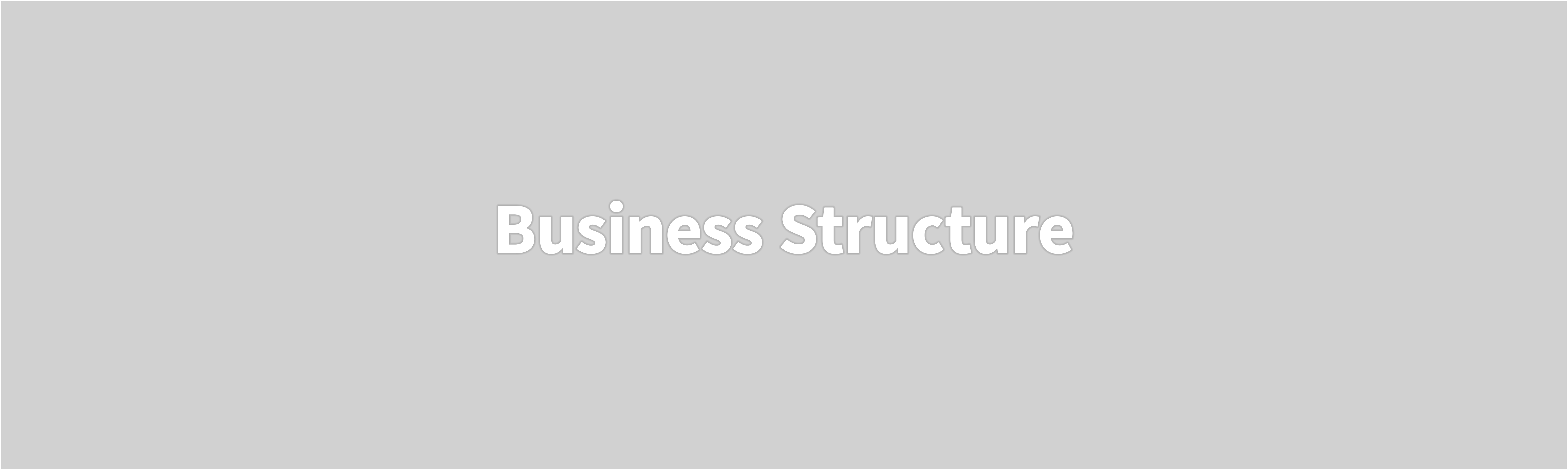 Business Structure