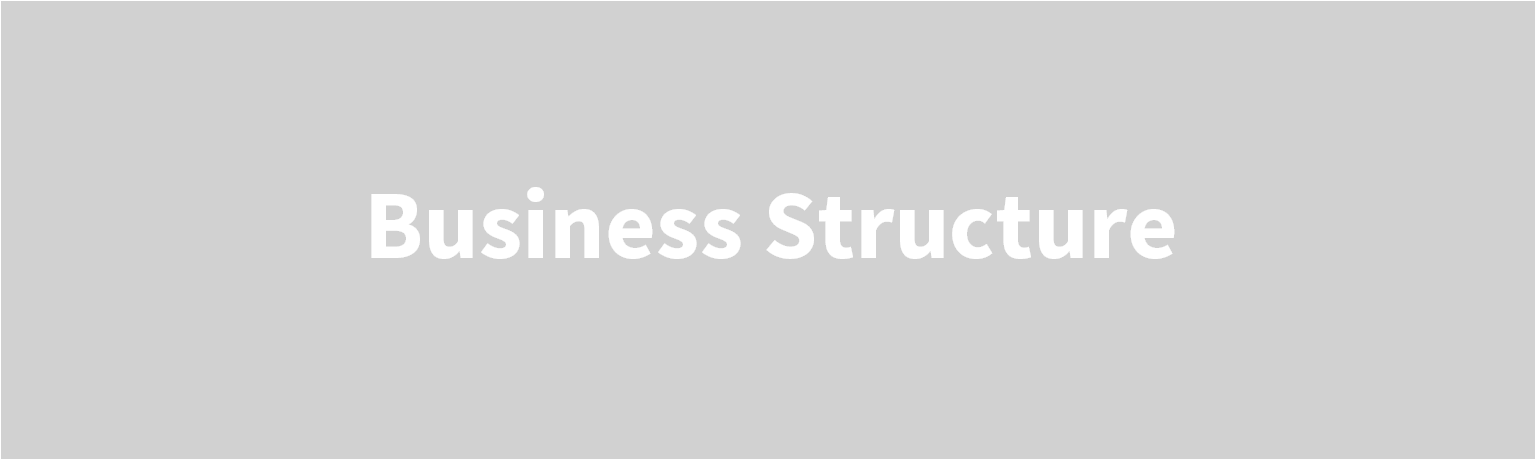 Business Structure