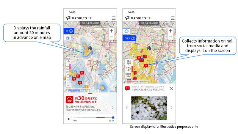 Hailfall Prediction Service— Enabling Hailfall Prediction by Classifying Particles in Rain Clouds